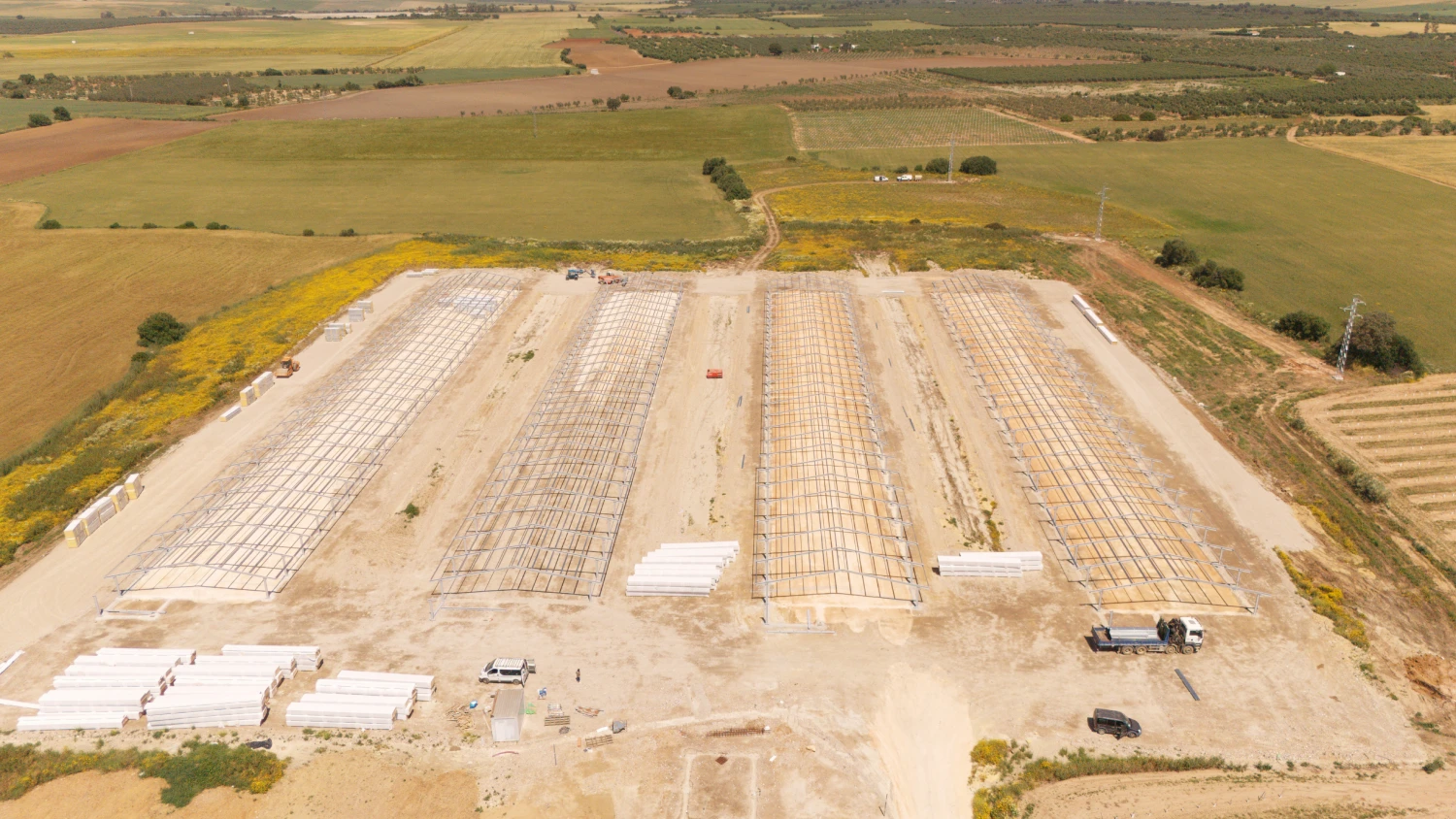 nucleos ganaderos ansema (2)